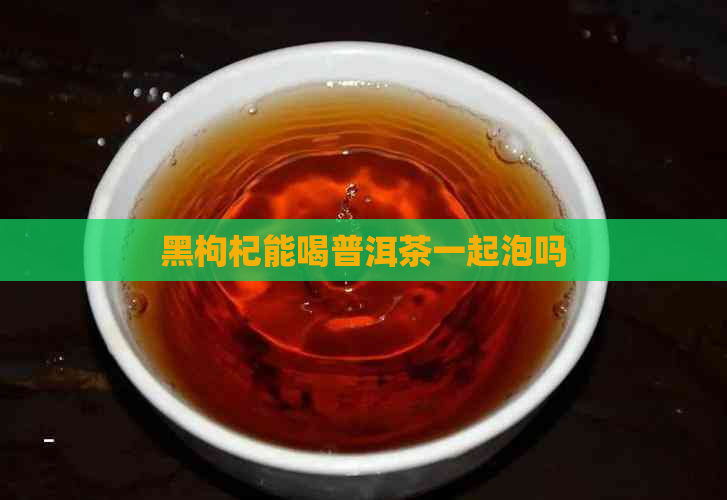 黑枸杞能喝普洱茶一起泡吗