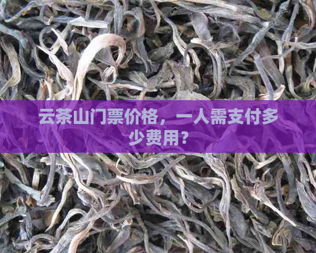 云茶山门票价格，一人需支付多少费用？