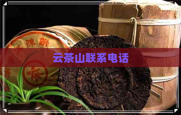 云茶山联系电话