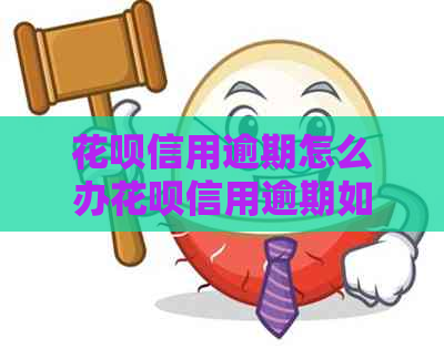 花呗信用逾期怎么办花呗信用逾期如何处理