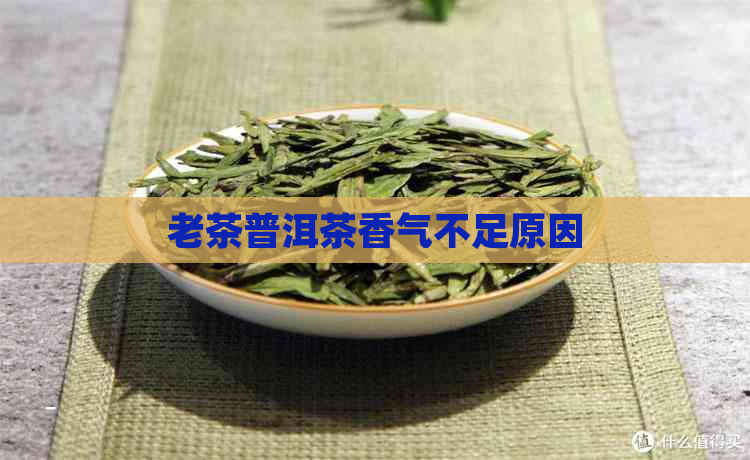 老茶普洱茶香气不足原因