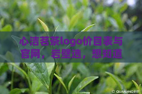 心洁茗茶logo价目表与官网，岩壁选，想知道多少钱？