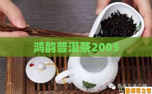 鸿韵普洱茶2005