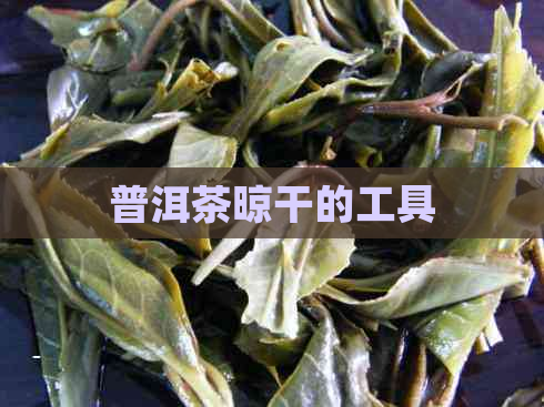 普洱茶晾干的工具