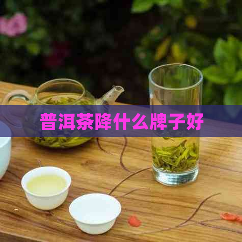 普洱茶降什么牌子好