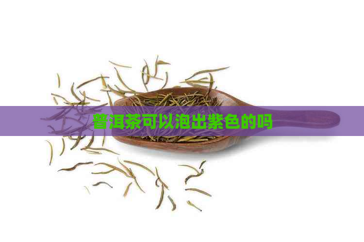 普洱茶可以泡出紫色的吗