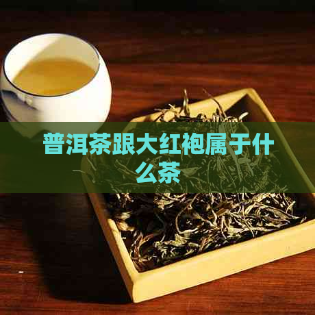 普洱茶跟大红袍属于什么茶