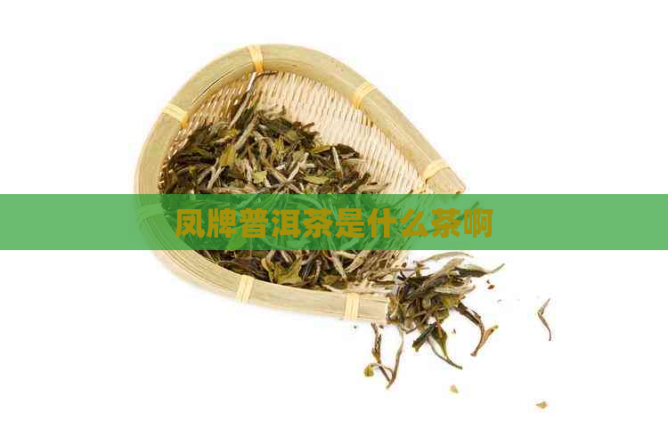 凤牌普洱茶是什么茶啊