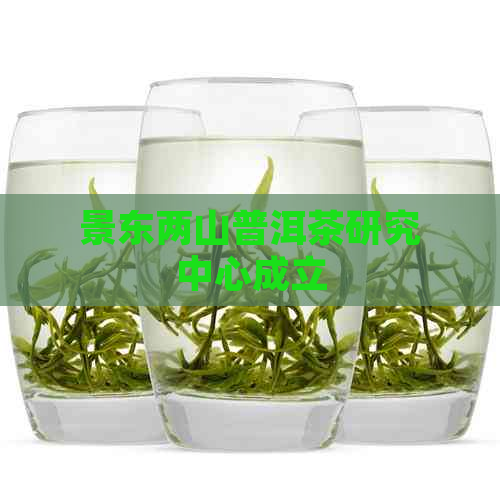 景东两山普洱茶研究中心成立