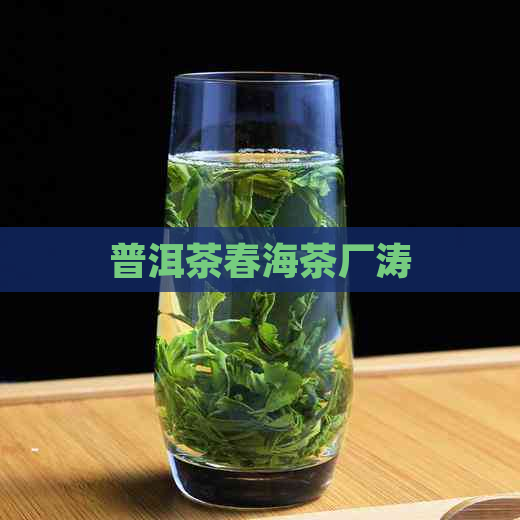 普洱茶春海茶厂涛