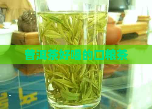 普洱茶好喝的口粮茶