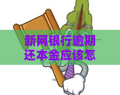 新网银行逾期还本金应该怎么处理