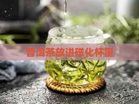 普洱茶放进磁化杯里