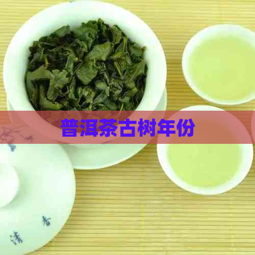 普洱茶古树年份