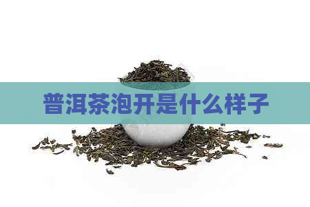 普洱茶泡开是什么样子