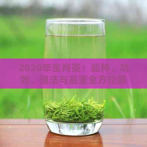 2020年生肖茶：品种、功效、泡法与品鉴全方位解析，让你了解生肖茶的精髓