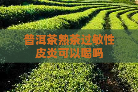 普洱茶熟茶过敏性皮炎可以喝吗