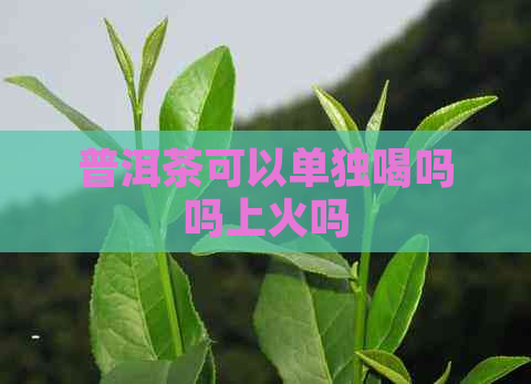 普洱茶可以单独喝吗吗上火吗