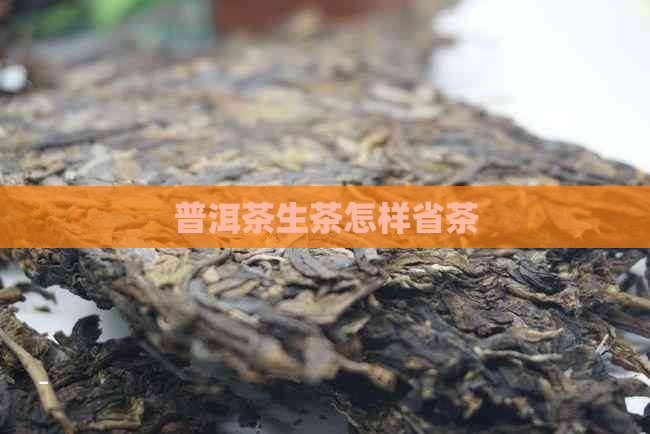 普洱茶生茶怎样省茶