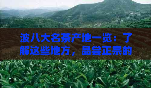 波八大名茶产地一览：了解这些地方，品尝正宗的波茶文化