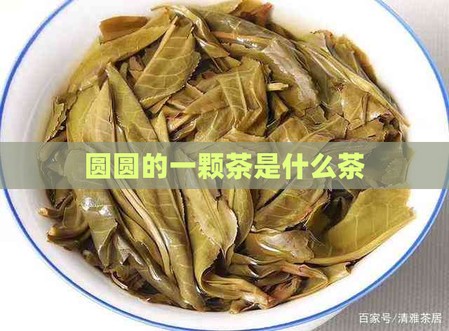 圆圆的一颗茶是什么茶