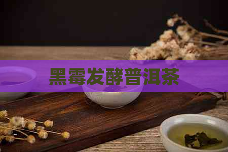 黑霉发酵普洱茶