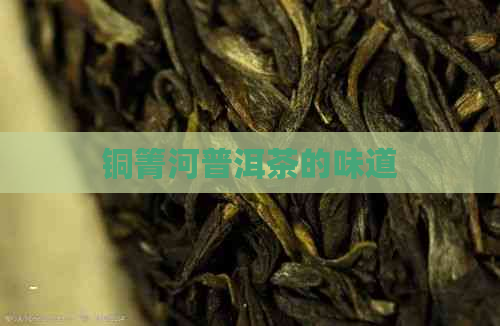 铜箐河普洱茶的味道