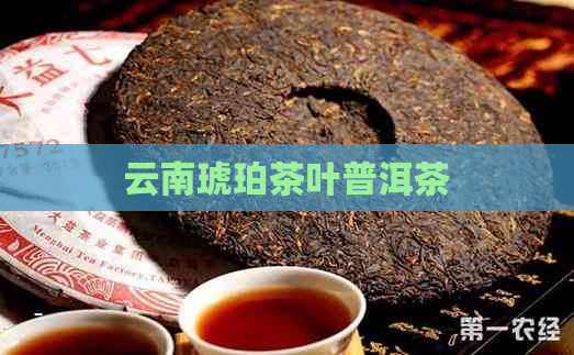 云南琥珀茶叶普洱茶