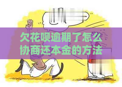 欠花呗逾期了怎么协商还本金的方法