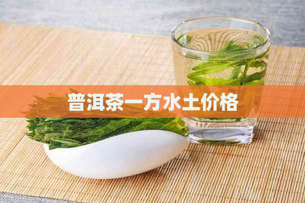 普洱茶一方水土价格