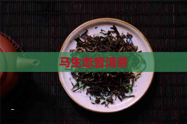 马生态普洱茶