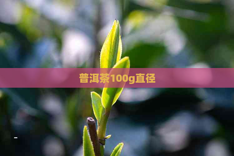 普洱茶100g直径