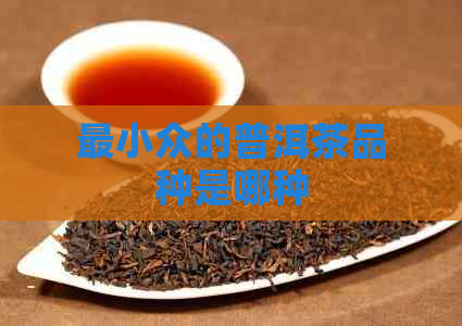 最小众的普洱茶品种是哪种