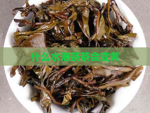 什么水泡茶茶会变黄