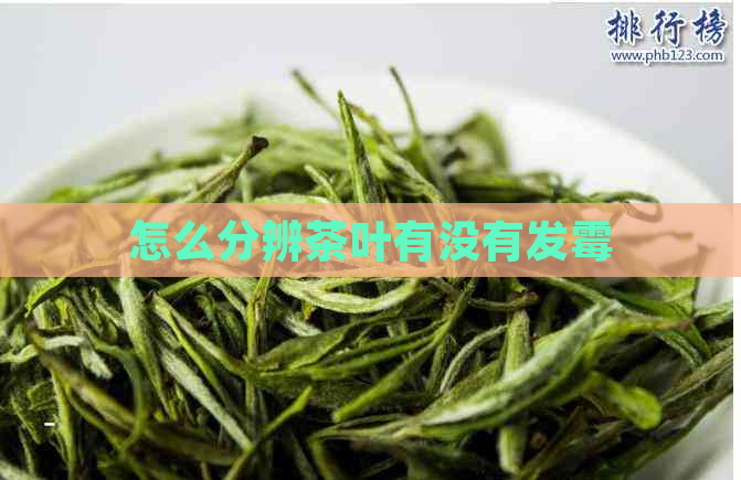 怎么分辨茶叶有没有发霉