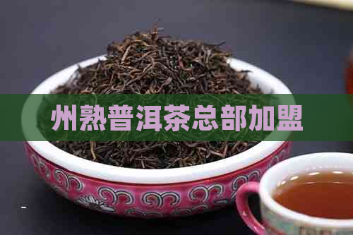 州熟普洱茶总部加盟