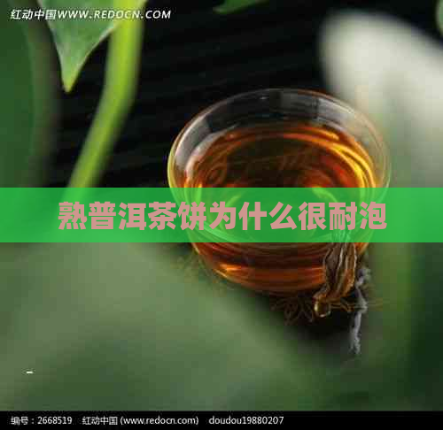 熟普洱茶饼为什么很耐泡