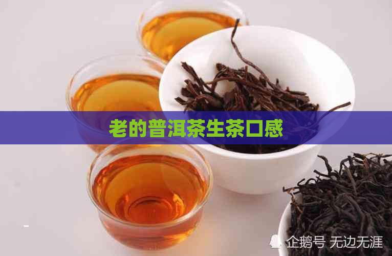 老的普洱茶生茶口感