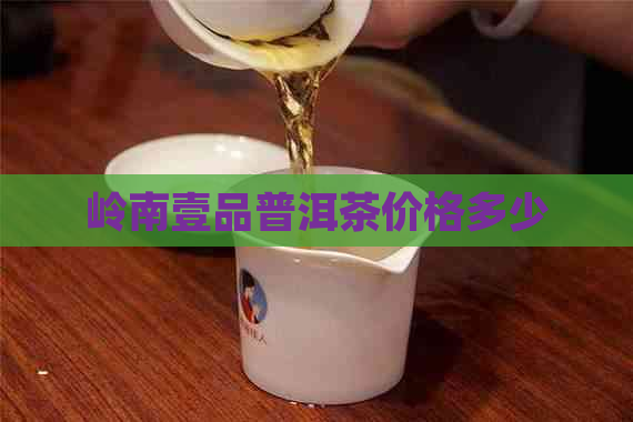 岭南壹品普洱茶价格多少