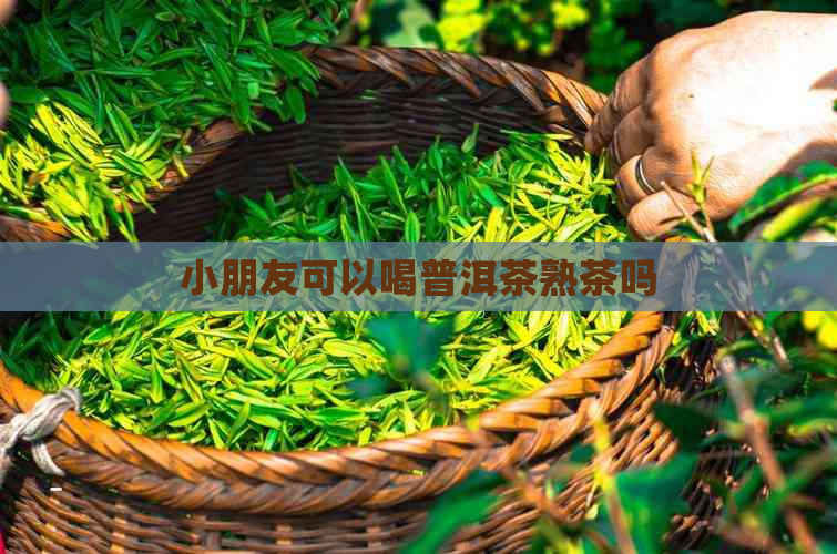 小朋友可以喝普洱茶熟茶吗