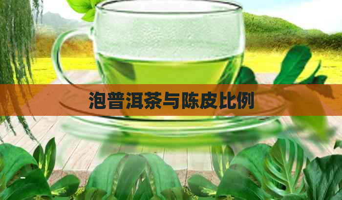 泡普洱茶与陈皮比例