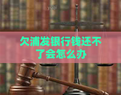 欠浦发银行钱还不了会怎么办