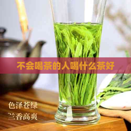 不会喝茶的人喝什么茶好