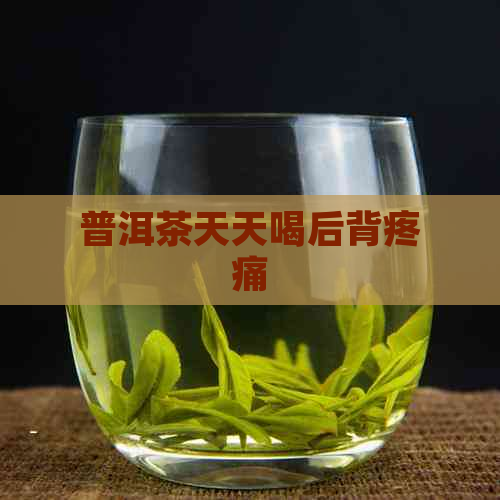 普洱茶天天喝后背疼痛