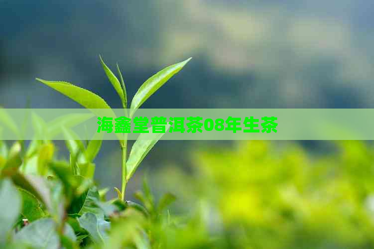 海鑫堂普洱茶08年生茶