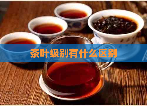 茶叶级别有什么区别