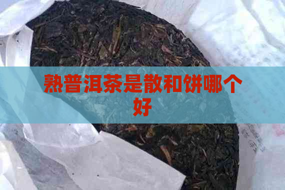 熟普洱茶是散和饼哪个好