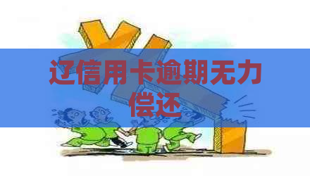 辽信用卡逾期无力偿还