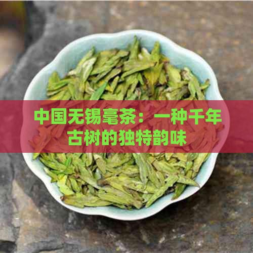 中国无锡毫茶：一种千年古树的独特韵味