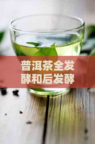 普洱茶全发酵和后发酵哪个养胃好